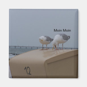 Aimant Moin