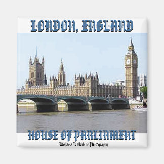 Aimant Mojisola A Okubule Chambre du Parlement Photograph