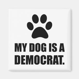 Aimant Mon chien est un politique drôle de Démocrate