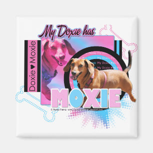 Aimant Mon Doxie a le Moxie