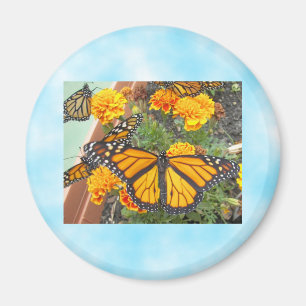 Aimant Mon Monarque Papillons-aimants