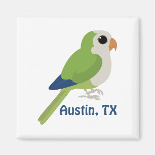 Aimant Monk Parakeet - Austin, Texas