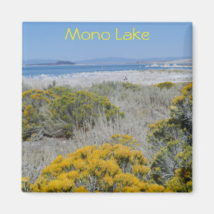 Aimant Mono Lake, Californie