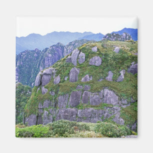 Aimant Mont Nagata, Yakushima, Kagoshima, Japon