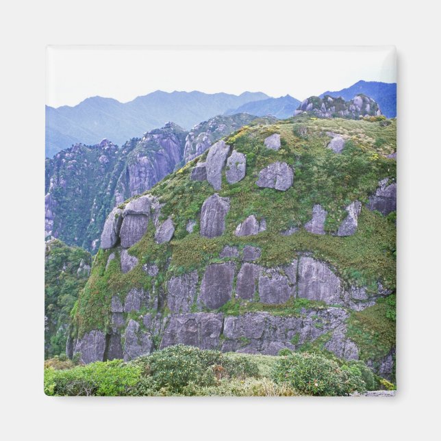 Aimant Mont Nagata, Yakushima, Kagoshima, Japon (Devant)