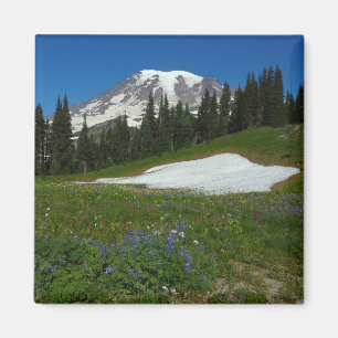 Aimant Mont Rainier, Fleurs sauvages et Neige