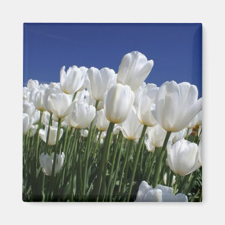 Aimant Montagne des Tulipes sur un ciel bleu parfait