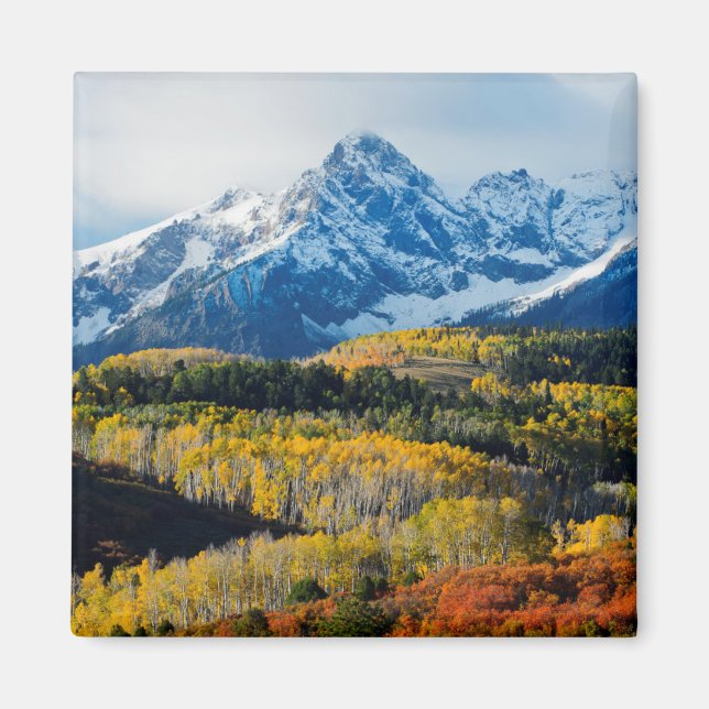 Aimant Montagne et arbres neigeux (Devant)