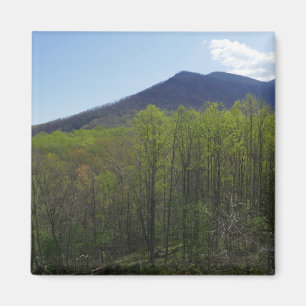 Aimant Montagnes fumées dans le paysage du printemps