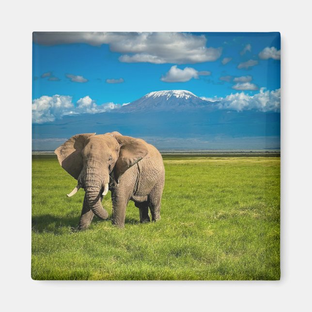 Aimant Montagnes | Mont Kilimandjaro Tanzanie, Afrique (Devant)