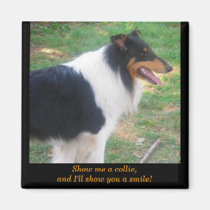Aimant Montre-moi un collie...