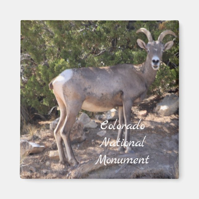 Aimant Monument national du Colorado (Devant)