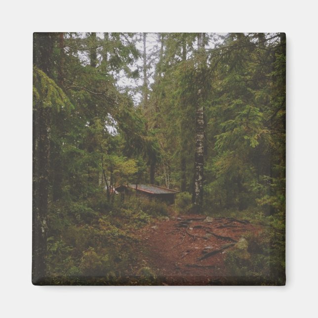 Aimant Moody Swedish Forest (Devant)