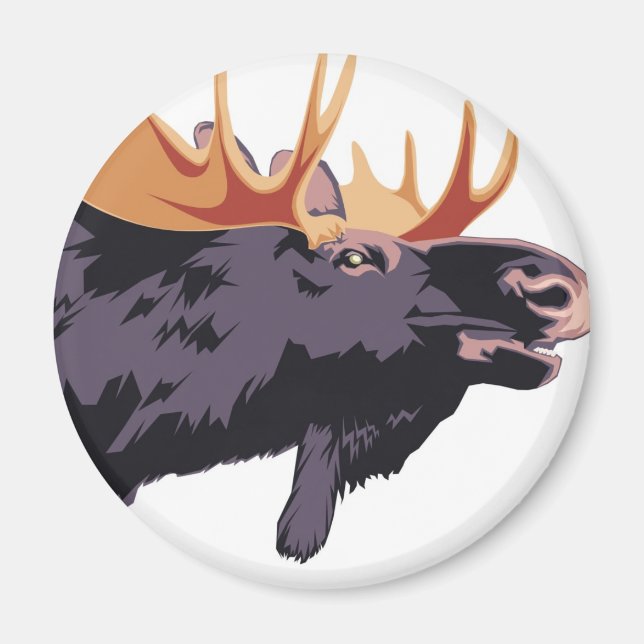 AIMANT MOOSE (Devant)