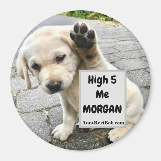 Aimant MORGY Puppy de 5 Me (Devant)