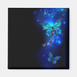 Aimant Morpho Butterfly in the Dark Background