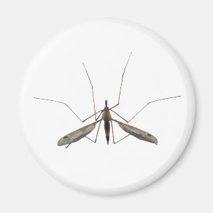 Aimant Mosquito