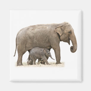 Aimant Mother and Baby Elephant