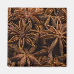 Aimant Motif Anise Stars