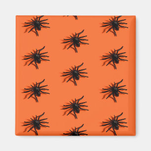 Aimant Motif d'araignée d'Halloween