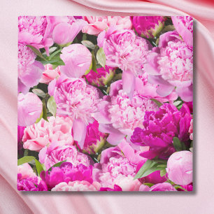 Aimant Motif de pivoines roses