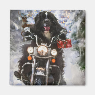 Aimant Moto à chiens de Terre-Neuve Noël
