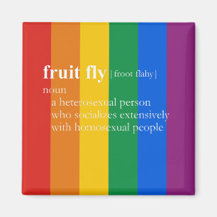 AIMANT MOUCHE À FRUIT