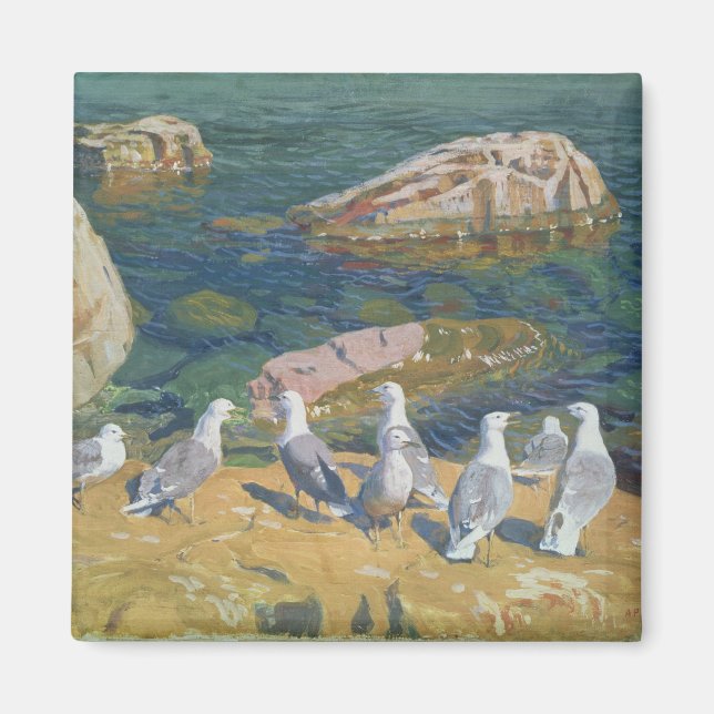 Aimant Mouettes, 1910 (Devant)
