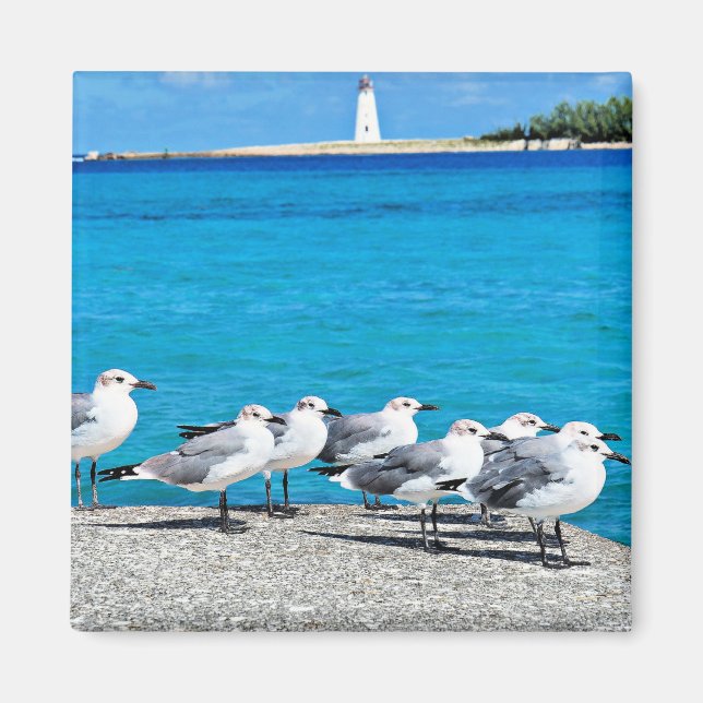 Aimant Mouettes, plage de sable, Nassau, Bahamas (Devant)