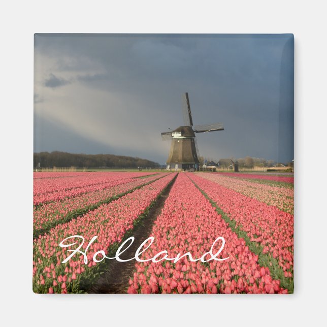 Aimant Moulin à vent avec tulipes roses au printemps (Devant)