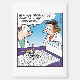 Aimant Mouse in Maze 