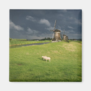 Aimant Moutons avec moulins à vent sous des nuages sombr
