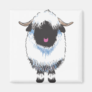 AIMANT MOUTONS DU VALAIS BLACKNOSE