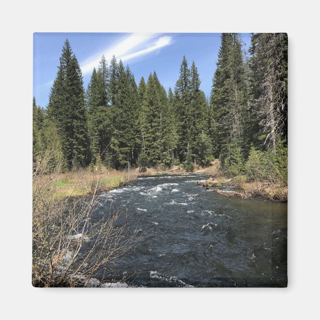 Aimant Muir Creek, Oregon (Devant)