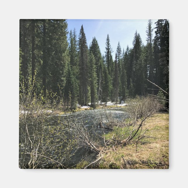 Aimant Muir Creek, Oregon (Devant)