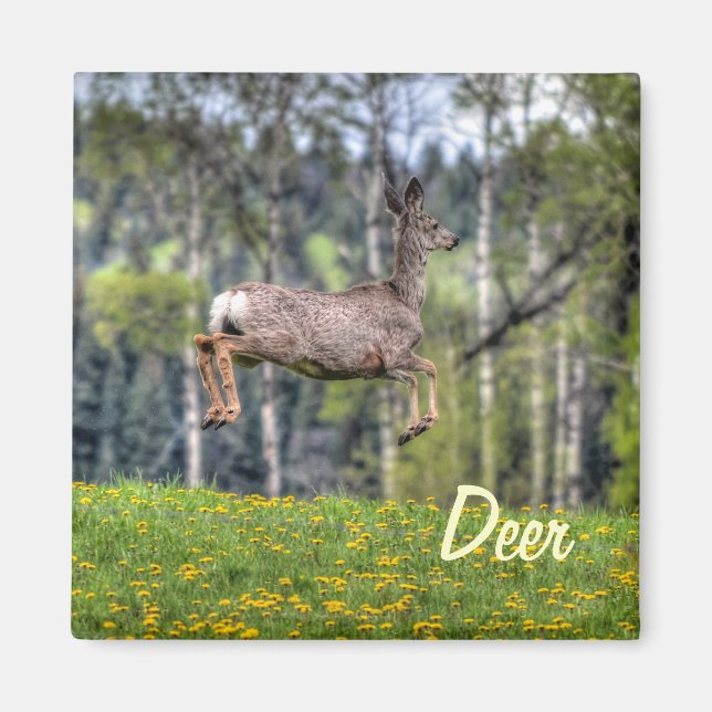 Aimant Mule Deer & Field Wildlife Animal Design (Devant)
