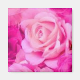 Aimant multifonction