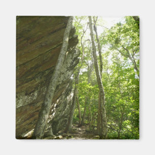 Aimant Mur de roche de Frazier dans le parc national de S