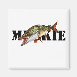 Aimant Muskie