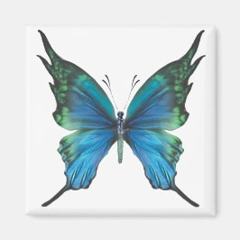 Aimant Mythe du printemps