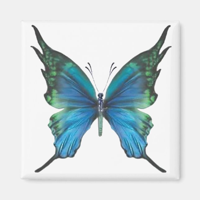 Aimant Mythe du printemps (Devant)