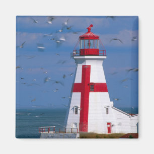 Aimant NA, Canada, Nouveau-Brunswick, Île de Campobello. 