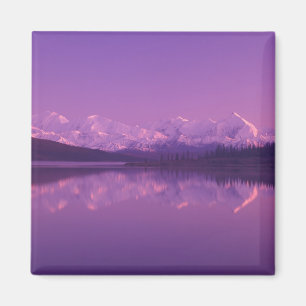 Aimant NA, États-Unis, Alaska, Parc national Denali, Wond