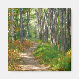 Aimant NA, États-Unis, Maine.  Sentier Jessup à Acadia Na