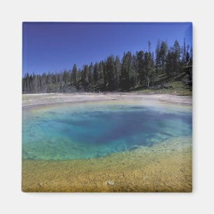 Aimant NA, États-Unis, Wyoming, Parc national de Yellowst