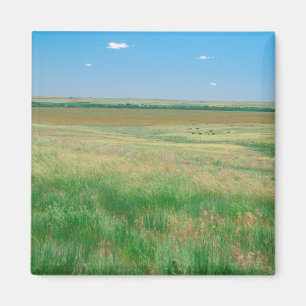 Aimant NA, USA, NE. Grandes terres près d'Ogallala avec