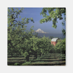 Aimant NA, USA, Oregon, près de Hood River Mt Hood avec