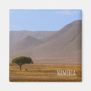 Aimant Namibie Afrique Désert Paysage Nature