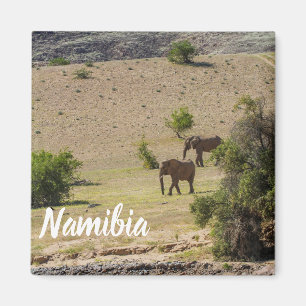 Aimant Namibie Afrique Huab River Elephant Damaraland