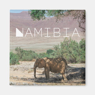 Aimant Namibie Afrique Huab River Elephant Damaraland